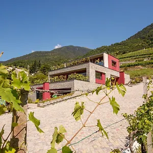Frühstückspension Nebbiolo Wine 